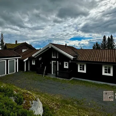 High Sjusjoen